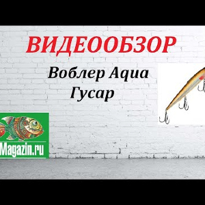 Видеообзор Воблера Aqua Гусар по заказу Fmagazin.