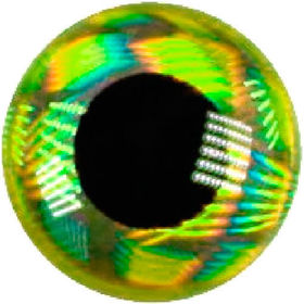 3D Рыбий глаз Fish Ай (3мм) Green (упаковка - 40шт)