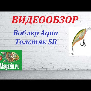 Видеообзор Воблера Aqua Толстяк SR по заказу магазина Fmagazin.