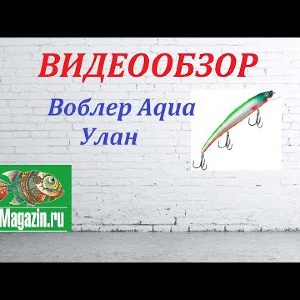 Видеообзор Воблера Aqua Улан по заказу магазина Fmagazin.