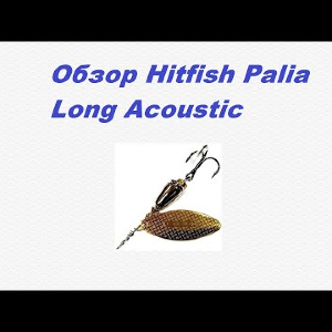 Видеообзор Hitfish Palia Long Acoustic по заказу Fmagazin.