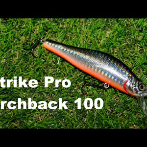 Обзор воблера Strike Pro Archback 100 по заказу Fmagazin