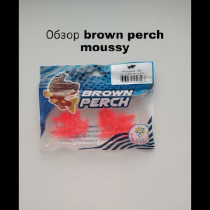 Обзор Brown Perch Moussy по заказу Fmagazin