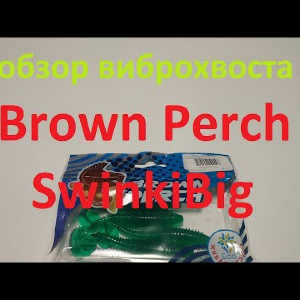 Видеообзор виброхвоста Brown Perch SwinkiBig по заказу Fmagazin