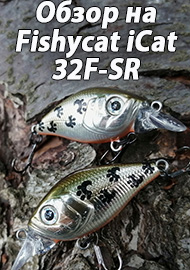 Обзор: Обзор на Fishycat iCat 32F-SR. Идеальное решение для малых рек.