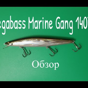 Видеообзор воблера Megabass Marine Gang 140F по заказу Fmagazin