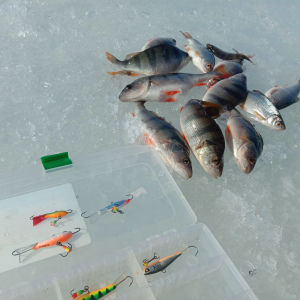 Рыбалка зимой: ловля на балансир
