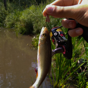 Спиннинговая рыбалка на ручьях
