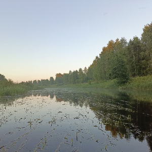 Голавль сплавом на малой реке