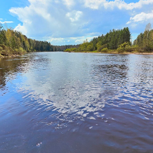 Ищем место-находим рыбу. Часть-3.