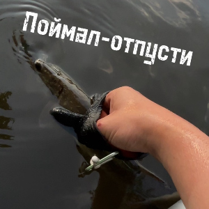 Поймал-отпусти (Catch&Release): Не жалость, а философия!