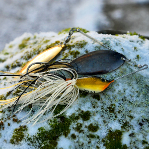 Танец лепестков