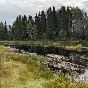 Неогруженная резина. Часть I. Об оснастке и выборе снастей.