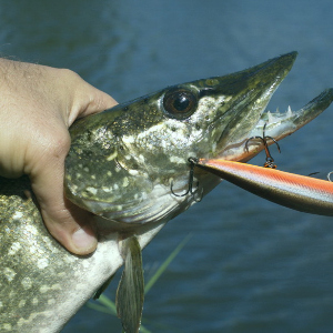 Зачем нам плавающие воблеры?