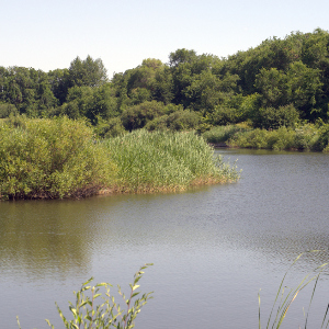 Щука - на выход