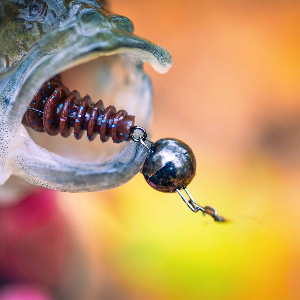 Дальше – больше! Или о том, зачем нужны вольфрамовые огрузки.