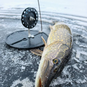 Жерличник – активная профессия.