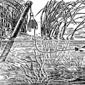 Самодельные жерлицы. Просто и эффективно.