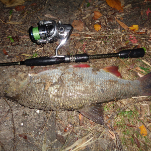 Трофеи под ногами.