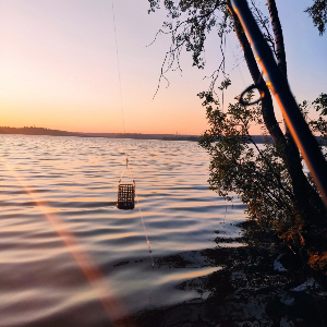 ТОП фидерных ошибок.