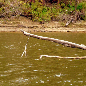 Жерлицы - браконьерство или спорт?