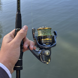 Мой топ 5 шнуров до 2000 рублей.