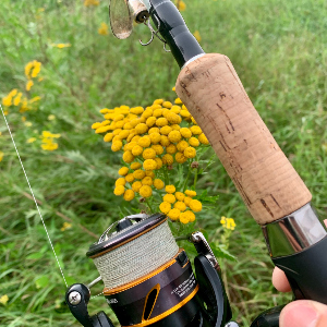 Муки выбора новичка: спиннинговый комплект для реки