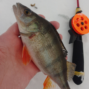 Лучшая насадка!