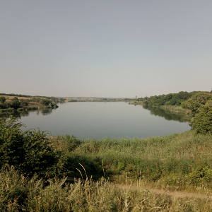 Как ошибки формируют опыт рыболова