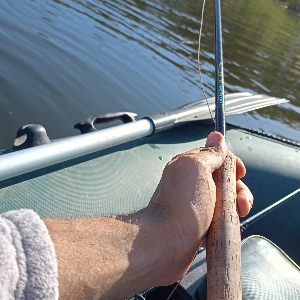 Ловля нахлыстом хищника в черноземье!