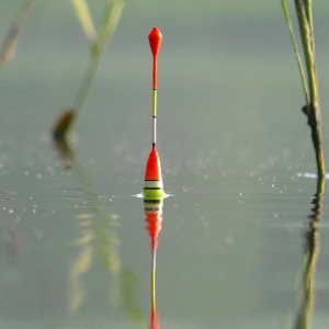 Поплавок или спиннинг? Выбор, который определяет твой характер