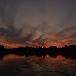 Ловля хищника ночью - личные наблюдения