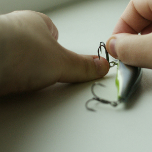 Случайность и закономерности на рыбалке