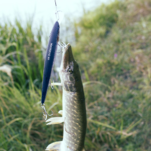 Ты инфантил?