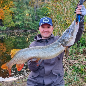 О ловле спиннингом в осенний период на небольших реках.