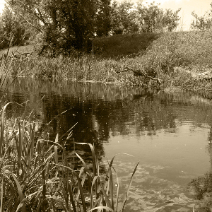 Тайна Черного омута