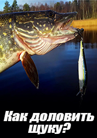 Fmagazin Ru Рыболовный Интернет Магазин Каталог