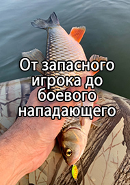 Обзор: Обзор Kosadaka Trout Police Inciter - от запасного игрока до боевого нападающего