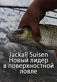 Обзор: Обзор Jackall Suisen. Новый лидер в поверхностной ловле.