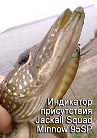 Обзор: Фавориты. Индикатор присутствия. Обзор Jackall Squad Minnow 95SP.