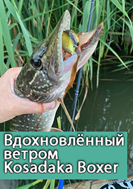 Обзор: Вдохновлённый ветром. Обзор Kosadaka Boxer XS 40F