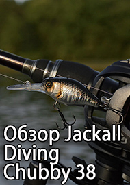 Обзор: Возвращение легенды - Обзор Jackall Diving Chubby 38