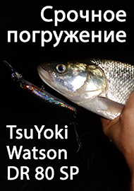 Обзор: Фавориты. Срочное погружение. Обзор TsuYoki Watson DR 80 SP.