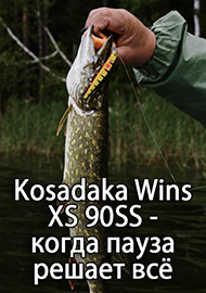 Обзор: Обзор Kosadaka Wins XS 90SS - когда пауза решает всё