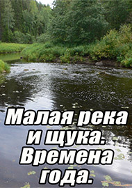 Статьи: 1. Малая река и щука. Времена года.