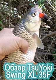 Обзор: Фавориты. Макака. Обзор TsuYoki Swing XL 35F.