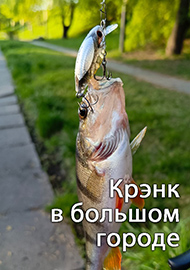 Обзор: Крэнк в большом городе: игрок на замену - TsuYoki Chafer 40F. Обзор