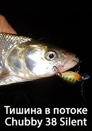 Обзор: Фавориты. Тишина в потоке. Обзор Jackall Chubby 38 Silent.