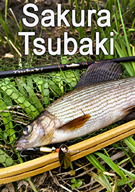 Обзор: Sakura Tsubaki 703ML. Идеальный инструмент для голавля и лососевых