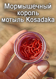 Обзор: Мормышечный король - мотыль Kosadaka